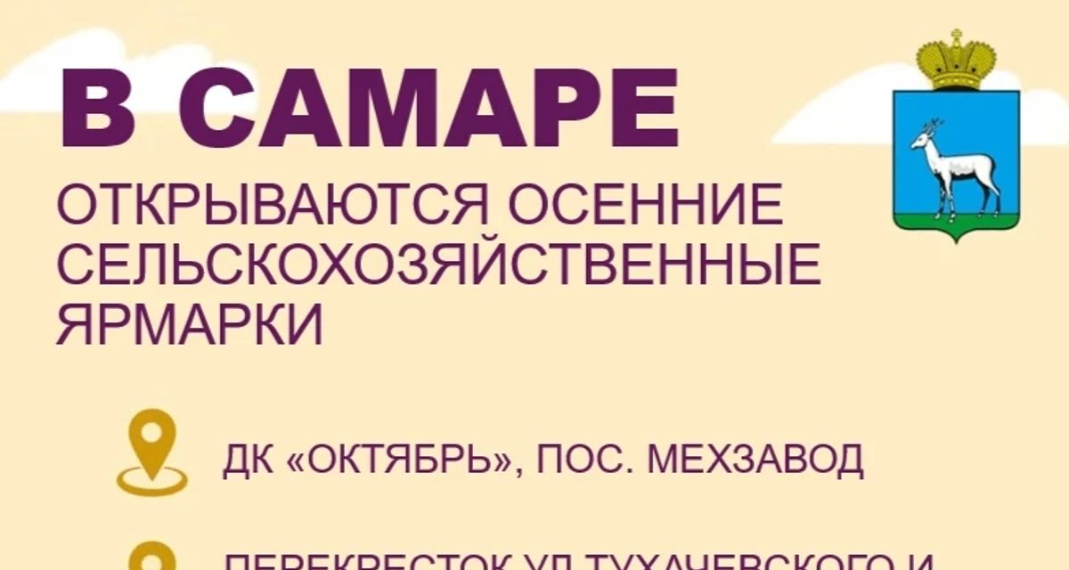 В Самаре откроется ярмарка на 170 торговых мест рядом с жилыми кварталами