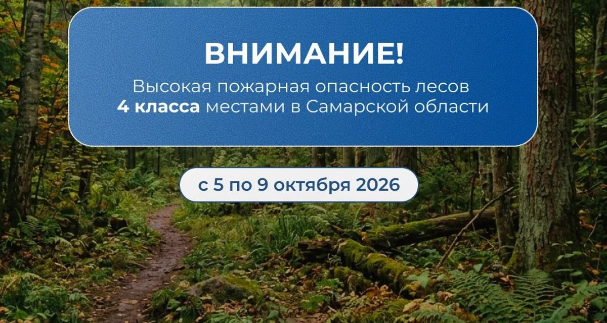 В Самарской области с 5 по 9 октября местами объявили высокую пожарную опасность лесов