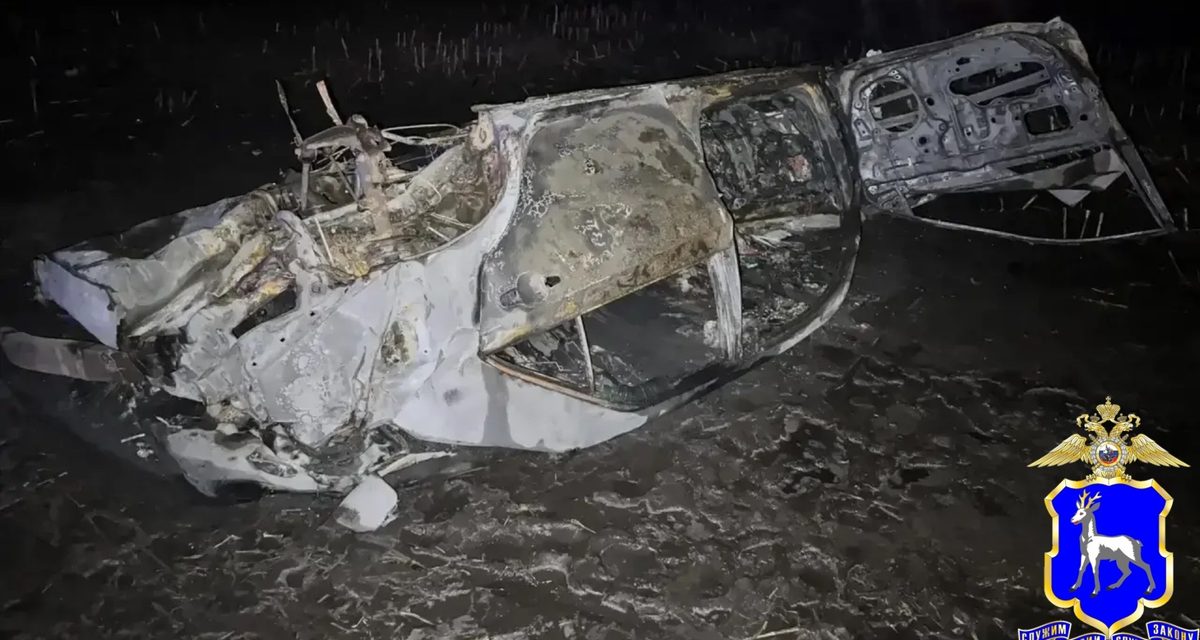 В Тольятти Toyota Camry съехала в кювет и загорелась, погибли два человека